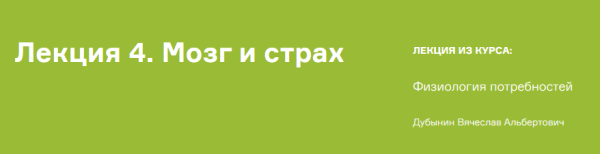 Мозг и страх, мозг и стресс (Вячеслав Дубынин)