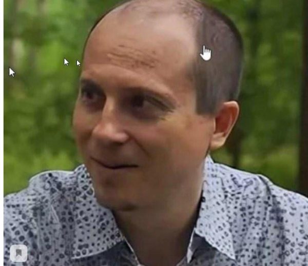 Устройство сознания  (Андрей Ревво)