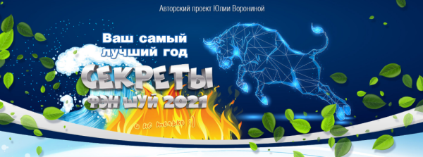Ваш самый лучший год. Секреты Фэн Шуй 2021. Пакет - Silver (Юлия Воронина)